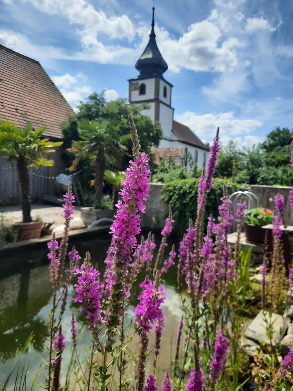 Spatzennest Und Rabennest Sugenheim Extérieur photo